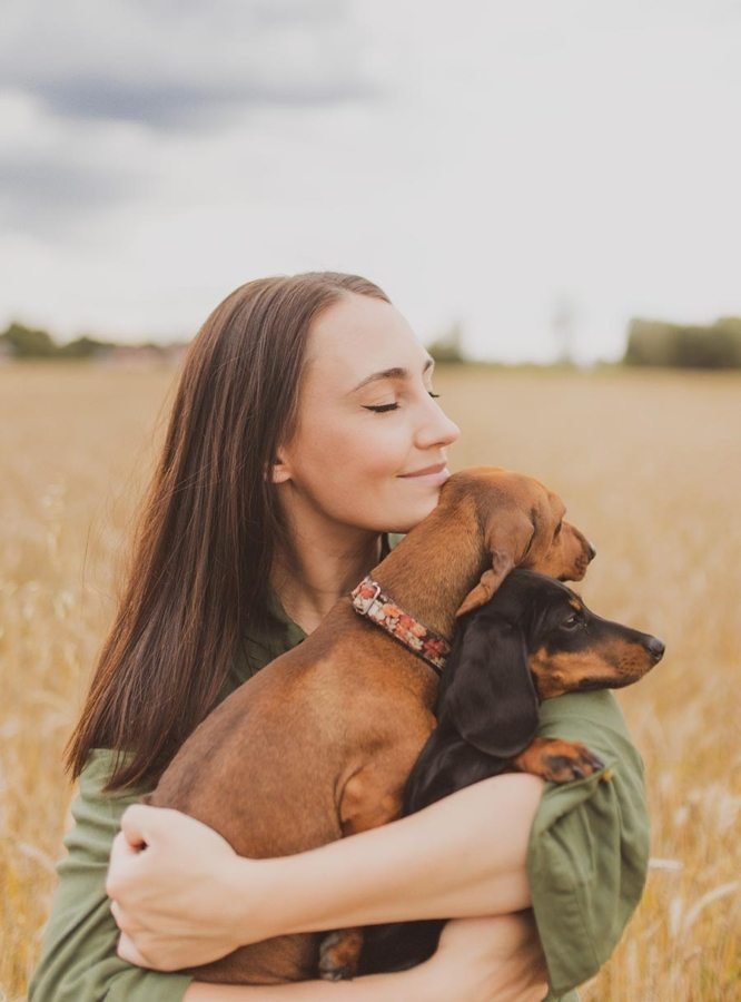 AA